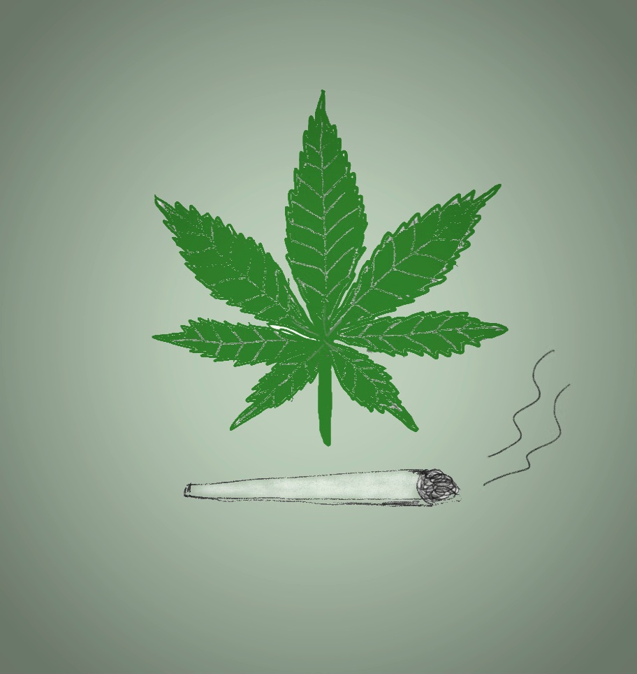 Vorschaubild des Artikels Das neue Cannabisgesetz ist in Kraft!